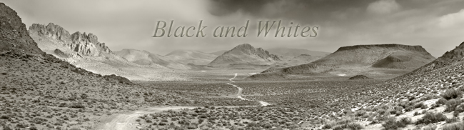 black and white photographs presented on the website of northern nevada photography