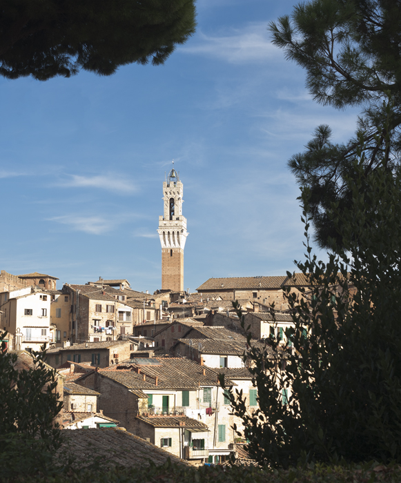 il torre di mangia siena italy tuscany