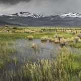 Bridgeport California fence in standing water Sierra Nevada Great Basin