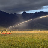 Irrigating hay field in Montana