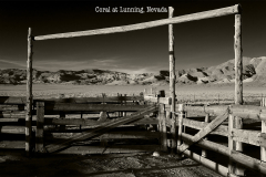 Corral-at-Lunning-Nevada