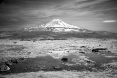 Mt.-Shasta-60336034