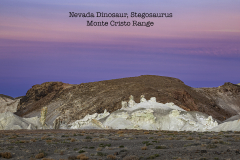 A-Nevada-Stegosauras-Monte-Cristo-Range