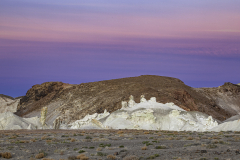 Nevada-Stegosauras-3643-1