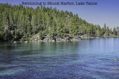 Swiming-in-Skunk-Harbor-Lake-Tahoe