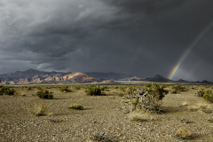 Candelaria-Hills-14271423