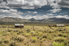 Reese-River-Cabin-f-7204