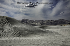 Blowing-Sand-Winnemucca-Lake-Sand-Dune-copy