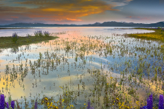 Lake-Tahoe-Evening-3-32788185