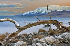 Winter-View-Pyramid-Lake-50475049