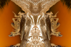 RORSCHACH-1850