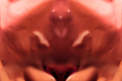 RORSCHACH-2-1620