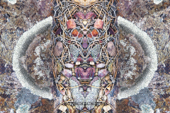 RORSCHACH-2550