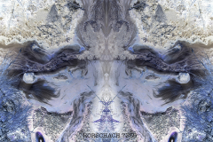 RORSCHACH-7355