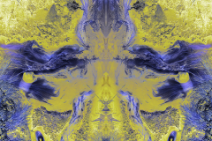 RORSCHACH-7355y