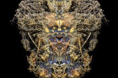 RORSCHACHl-12-3021