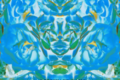 Rorschach-9-1671