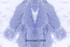 Sasquatch-Snowman-2528
