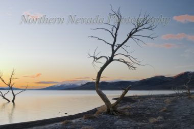 Pyramid Lake Morning